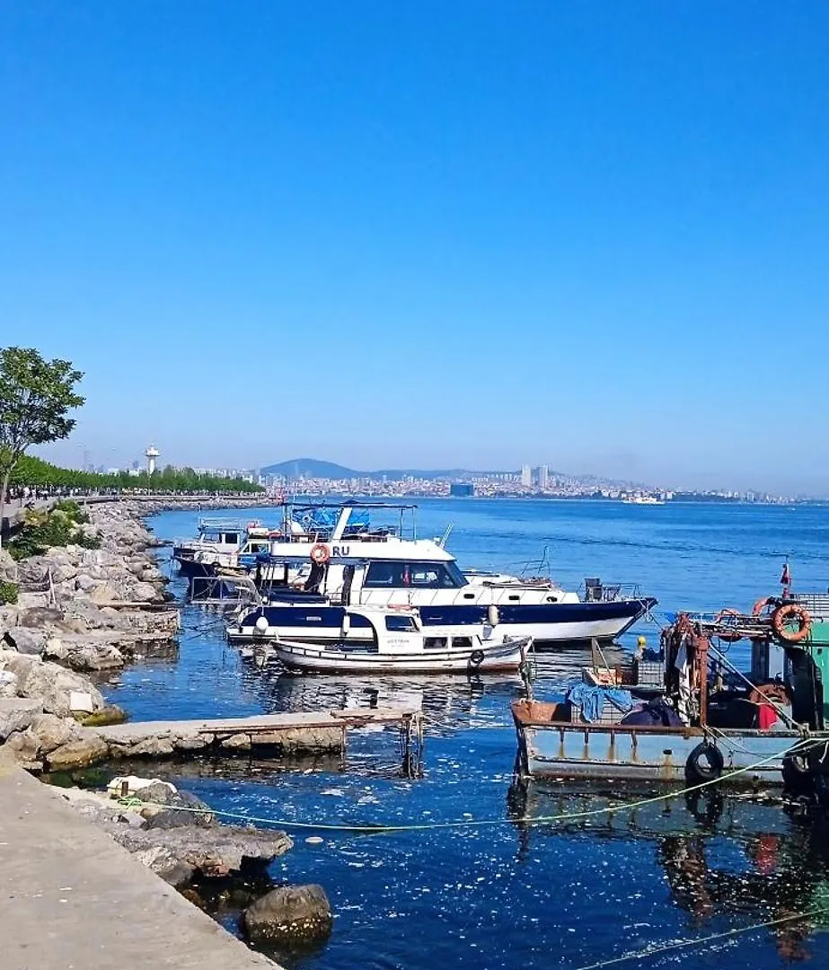 Проживание в семье Yellow Bull Istanbul Hotel